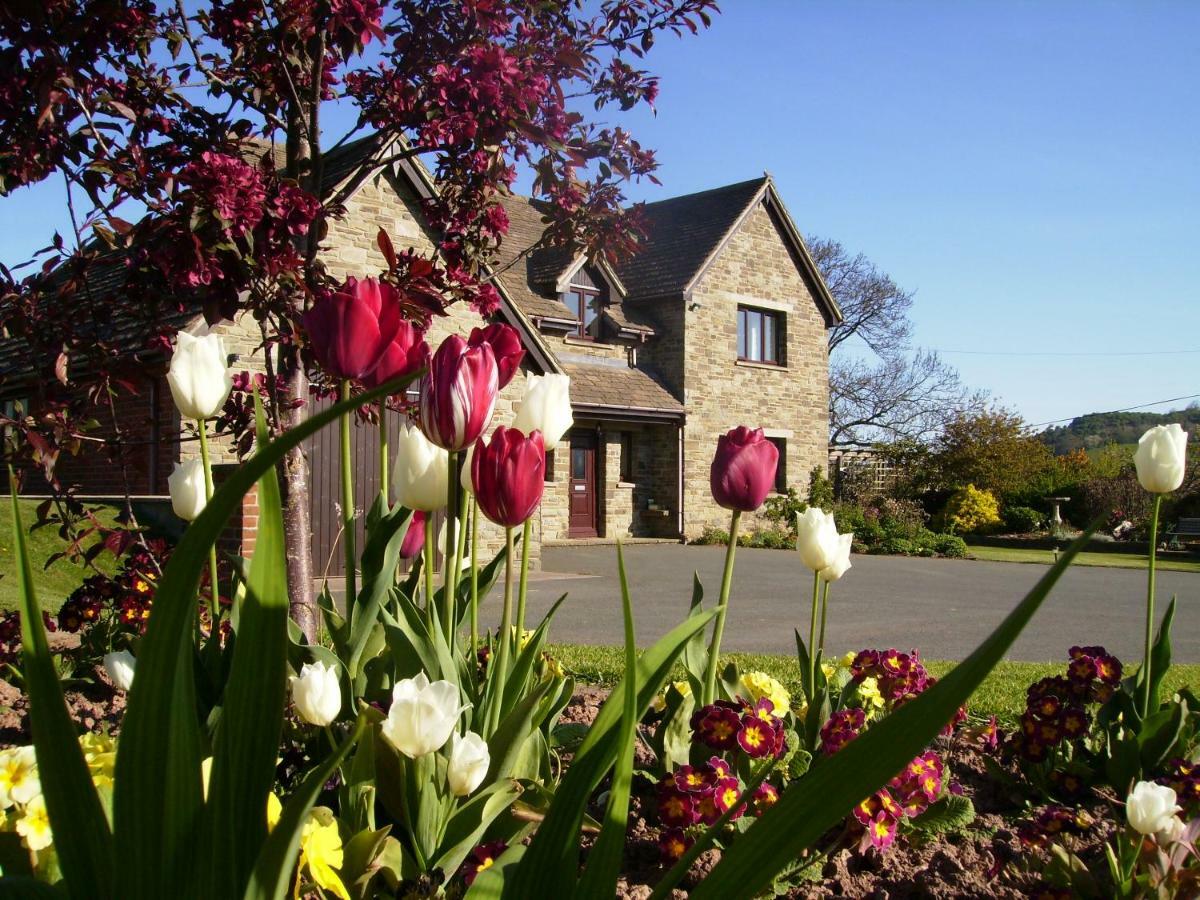 ヘイ＝オン＝ワイ Highfield Bed & Breakfast エクステリア 写真